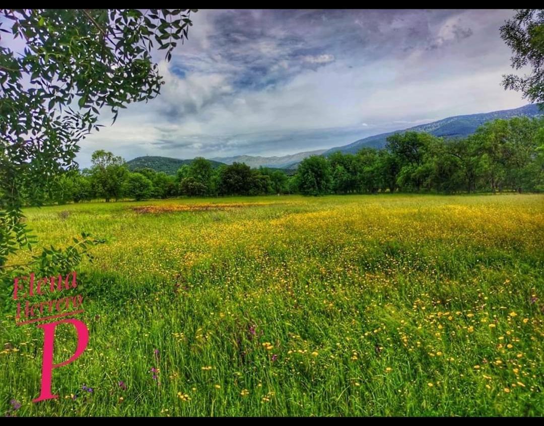 El Rincon De Los Lanchares Sotillo de la Adrada Luaran gambar